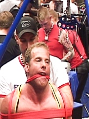 Muscled gay stud gets bounded - Gay porn pics at Gaystick