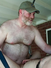 Big Boy Ginger Bear Shep Hunter puts his strong furry body to use fucking Mexican cub Chris Rojo - Gay porn pics at Gaystick
