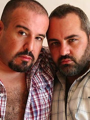 Sucking, rimming, sweating and fucking hard is all these Spanish Bears scene - Gay porn pics at Gaystick