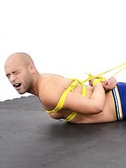 Bound Jocks - Leo Forte - Gay porn pics at Gaystick