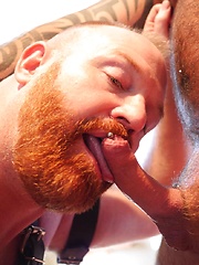 Marc Angelo Tops Steve Ellis - Gay porn pics at Gaystick